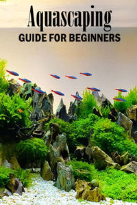 Aquascaping Guide for Beginners