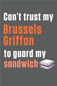 Can't trust my Brussels Griffon to guard my sandwich