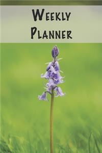 Weekly Planner