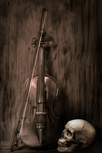 Our Savage Melody