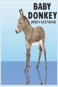 Baby Donkey 2021 Calendar