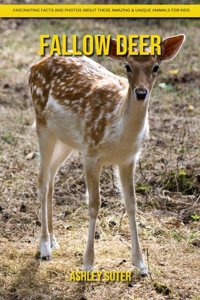 Fallow Deer