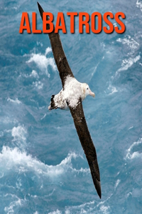 Albatross