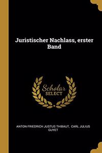 Juristischer Nachlass, erster Band