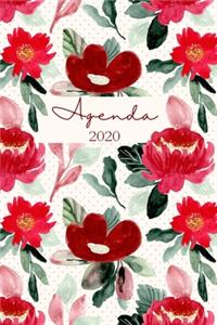 Agenda 2020 Semana Vista