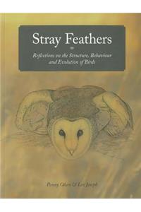 Stray Feathers