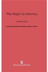 Negro in America