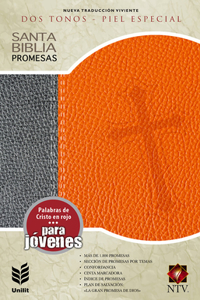 Santa Biblia Promesas-Ntv