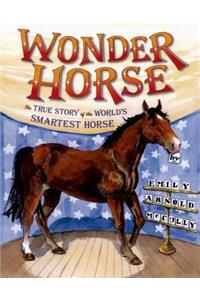 Wonder Horse