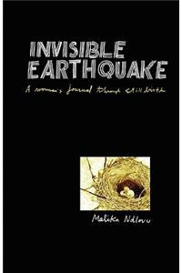 Invisible Earthquake. a Woman's Journal Through Still Birth