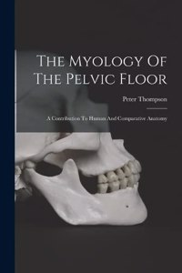 Myology Of The Pelvic Floor