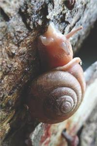 Snail on Tree Pretty Blank Lined Journal for daily thoughts notebook Lovely Lake Arrowhead Photograph