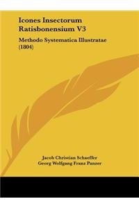 Icones Insectorum Ratisbonensium V3
