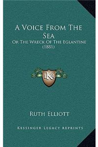 Voice from the Sea