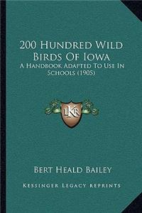 200 Hundred Wild Birds Of Iowa