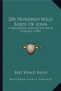 200 Hundred Wild Birds Of Iowa