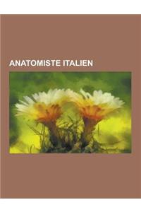 Anatomiste Italien: Leonard de Vinci, Marcello Malpighi, Filippo Pacini, Gaetano Zumbo, Antonio Maria Valsalva, Gabriel Fallope, Mondino d