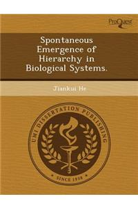 Spontaneous Emergence of Hierarchy in Biological Systems