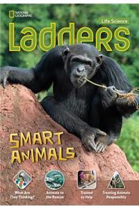 Ladders Science 4: Smart Animals (Above-Level)