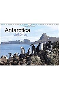 Antarctica (UK - Version) 2018