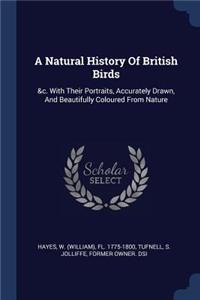 Natural History Of British Birds