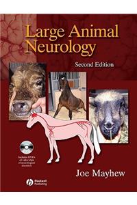 Large Animal Neurology