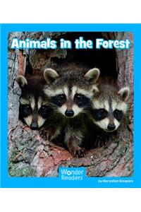 Animals in the Forest