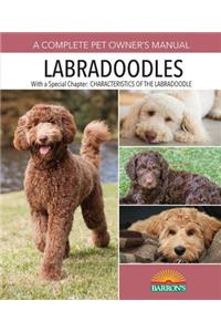 Labradoodles