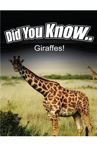 Giraffes