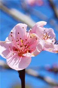 Pink Crab Apple Blossom Journal