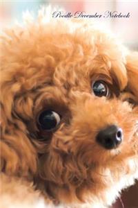 Poodle December Notebook Poodle Record, Log, Diary, Special Memories, To Do List, Academic Notepad, Scrapbook & More