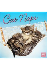 2021 Cat Naps 16-Month Wall Calendar