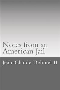 Notes from an American Jail