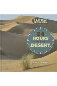 24 Hours in the Desert