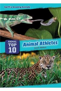 Animal Athletes