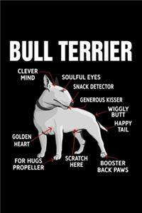 Bull Terrier