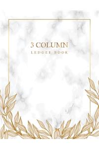 3 Column Ledger Book