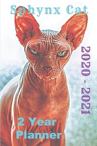 Sphynx Cat 2020 - 2021 2 Year Planner