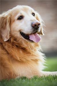 Dog notebook - achieve your goals, perfect 120 lined pages #5
