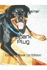 Spark Plug