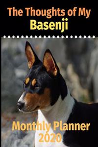 The Thoughts of My Basenji