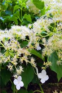 2020 Weekly Planner Small White Flowers Green Leaves 134 Pages