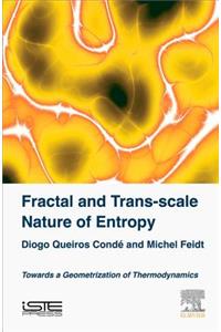 Fractal and Trans-Scale Nature of Entropy