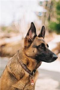 German Shepherd Notebook