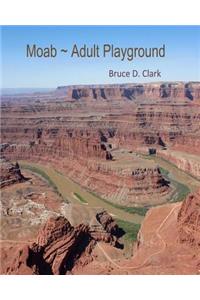 Moab Adult Playground