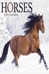 HORSES MINI SQUARE WALL CALENDAR 2021