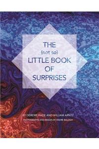 The (not so) Little Book of Surprises