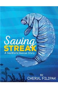 Saving Streak