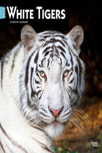 White Tigers 2025 Square Wrap