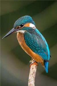 Kingfisher Notebook